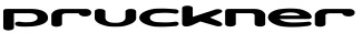 Pruckner-Logo_ohne _Standorte_11_2021